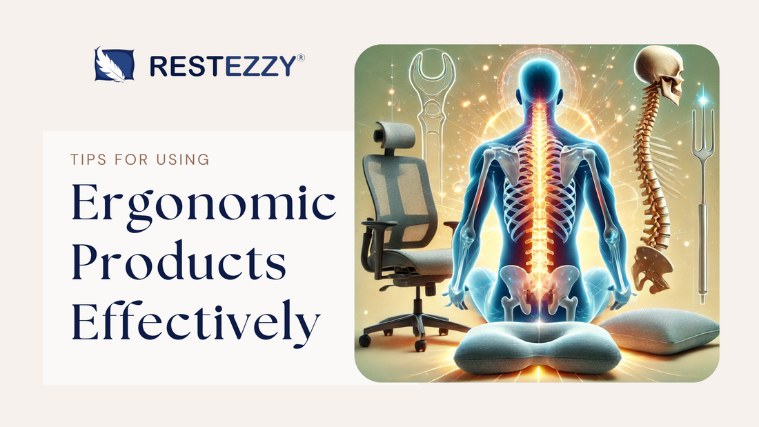 RestEzzy Knowledge World blog section featured image on topic 'Tips for Using Ergonomic Products Effectively' is the updated illustration focusing on the human spine, highlighting its bone structure, along with ergonomic elements.