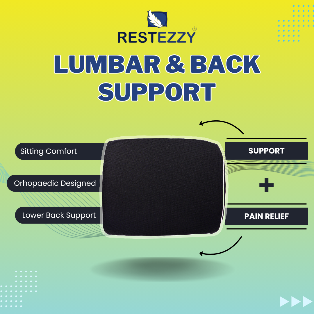 RestEzzy Lumbar & Back Support