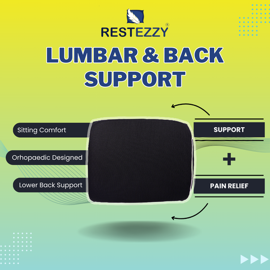 RestEzzy Lumbar & Back Support