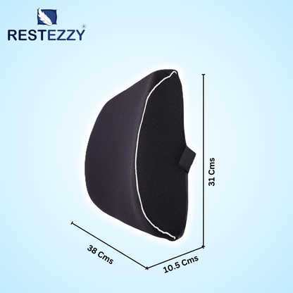 RestEzzy Lumbar & Back Support