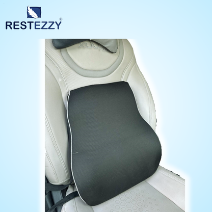 RestEzzy Orthopedic Back Rest