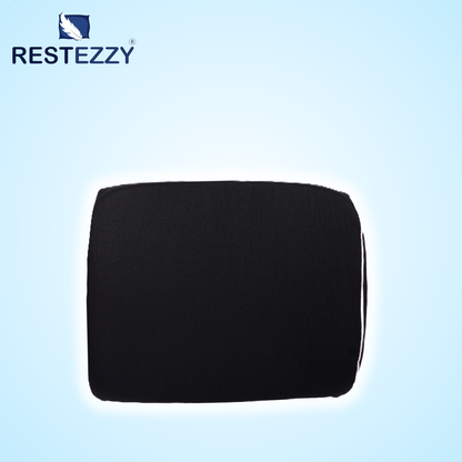 RestEzzy Lumbar & Back Support