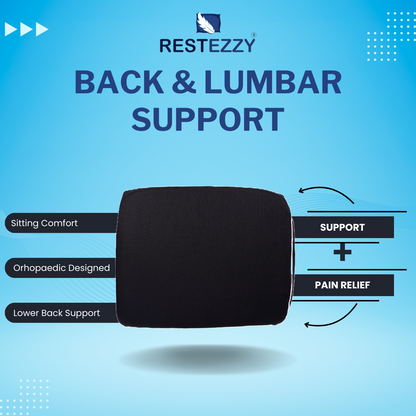 RestEzzy Lumbar & Back Support