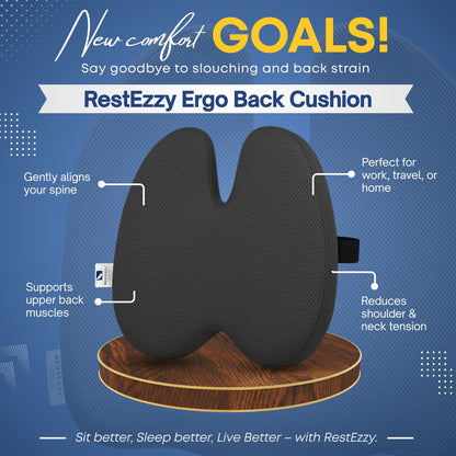 RestEzzy Ergo Back Cushion