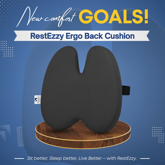 RestEzzy Ergo Back Cushion