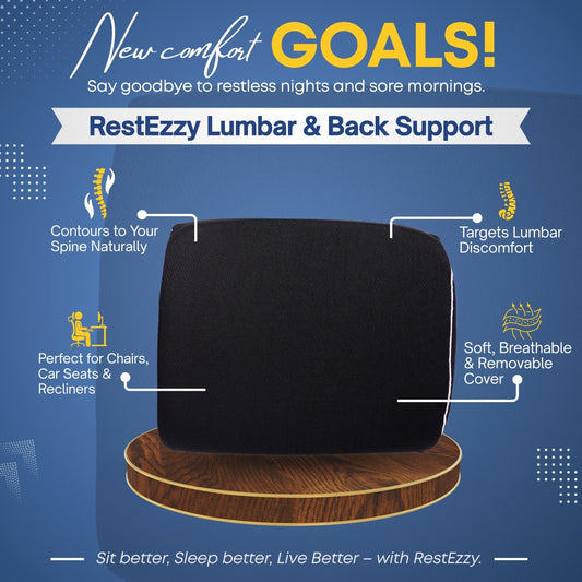 RestEzzy Lumbar & Back Support