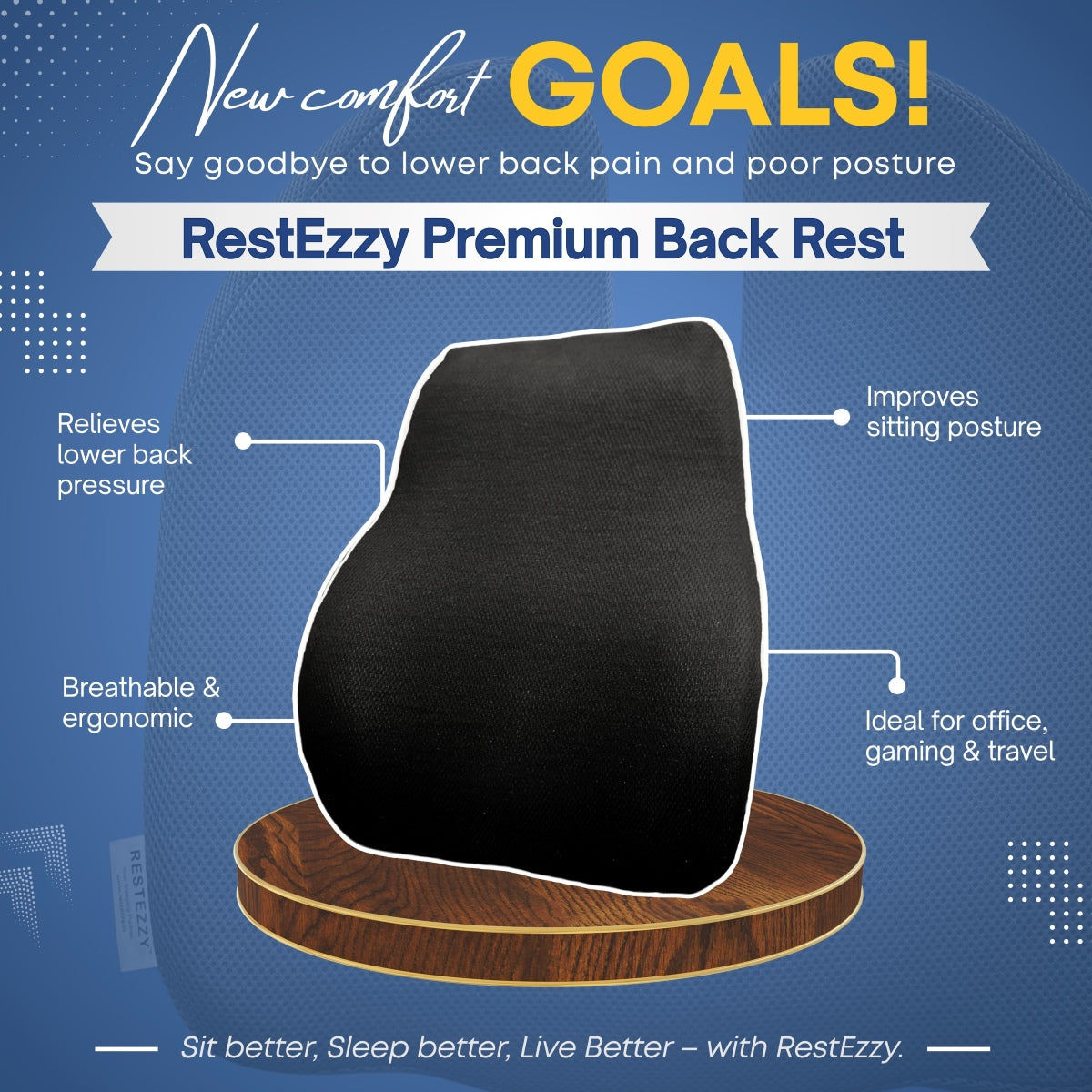 RestEzzy Premium Back Rest