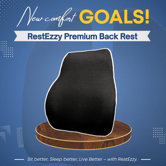 RestEzzy Premium Back Rest